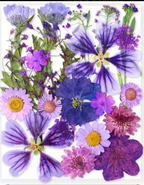 Workshop Registration -- Seasonal Twig Botanical & Crushed Glass