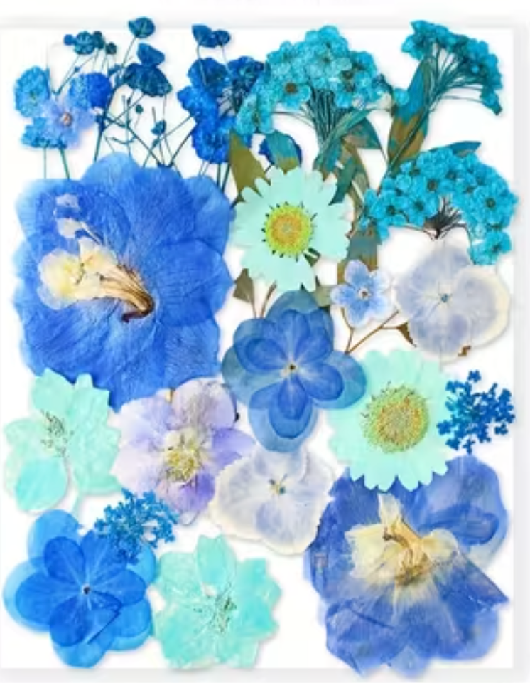 Workshop Registration -- Seasonal Twig Botanical & Crushed Glass