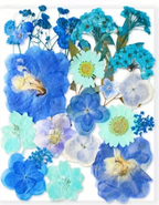 Workshop Registration -- Seasonal Twig Botanical & Crushed Glass