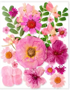 Workshop Registration -- Seasonal Twig Botanical & Crushed Glass
