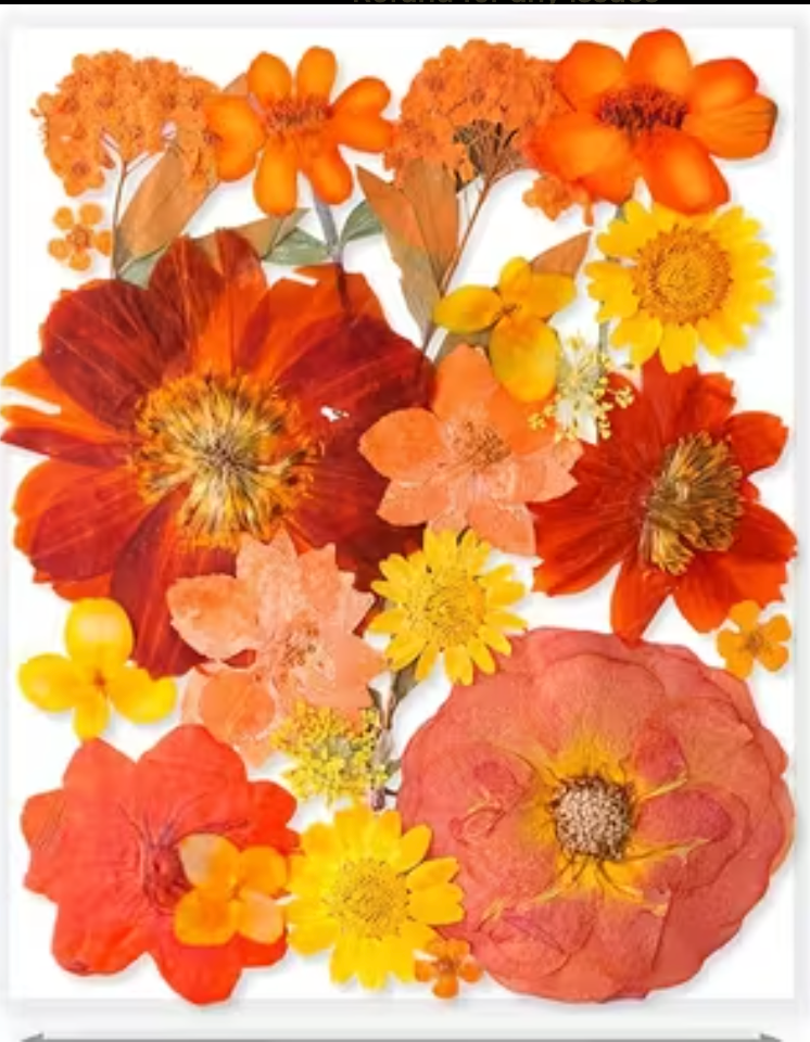 Workshop Registration -- Seasonal Twig Botanical & Crushed Glass