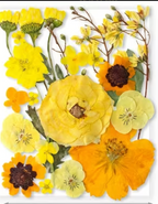 Workshop Registration -- Seasonal Twig Botanical & Crushed Glass