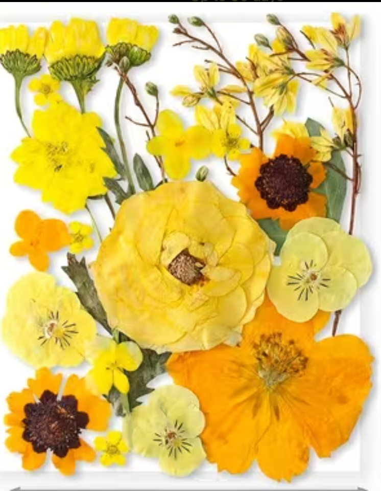 Workshop Registration -- Seasonal Twig Botanical & Crushed Glass