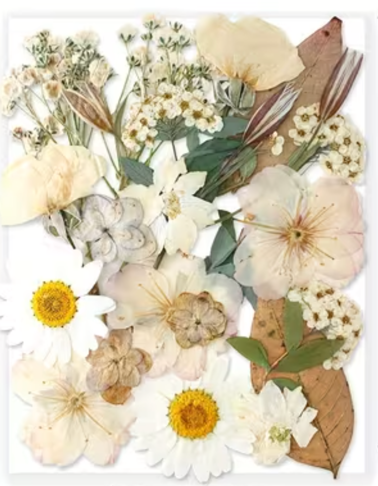 Workshop Registration -- Seasonal Twig Botanical & Crushed Glass
