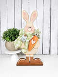 Fresh Carrots Bunny DIY Kit